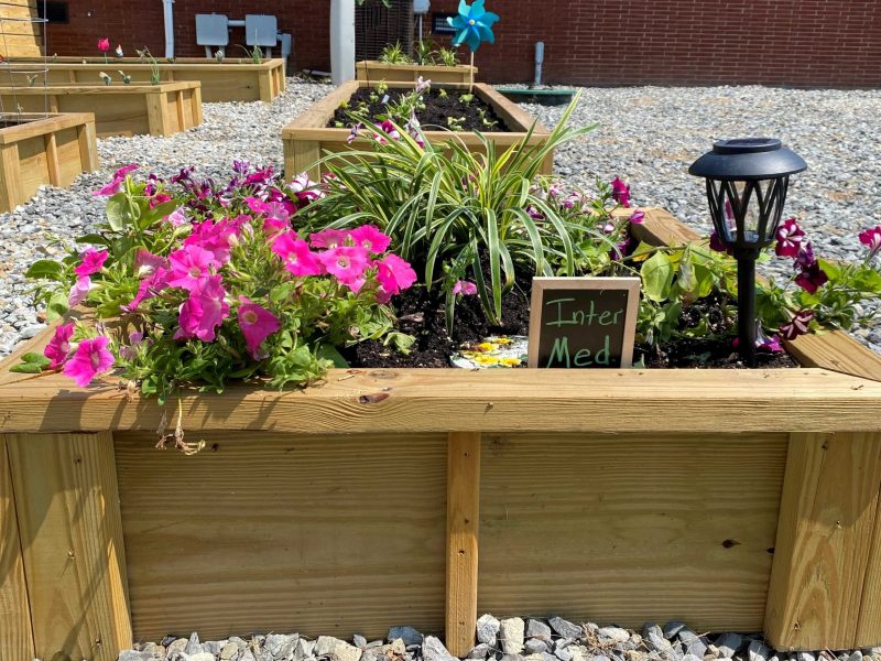 Grow More Garden Internal Medicine