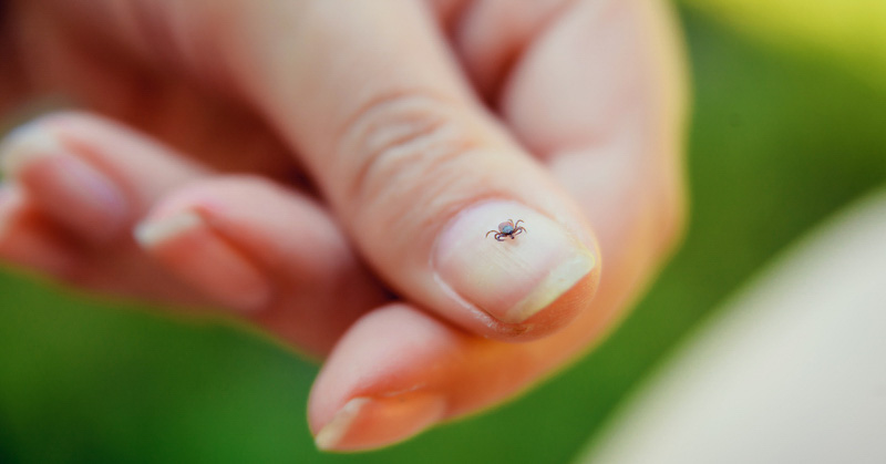 Symptoms of Lyme Disease and Other Tick-Borne Illnesses